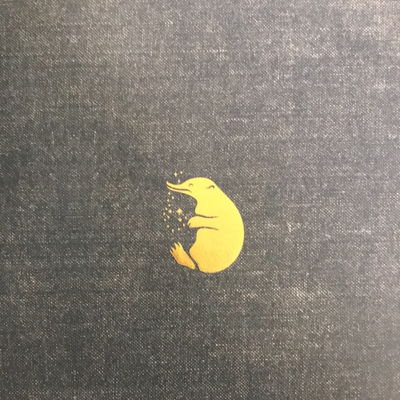 Fantastic beasts the original screenplay, hardcover, like new - Picture 4 of 8